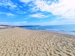 IMG_20220529_094128-01